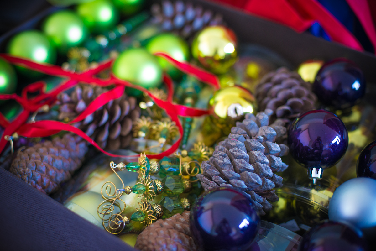 POMPIDOO_Xmas_02